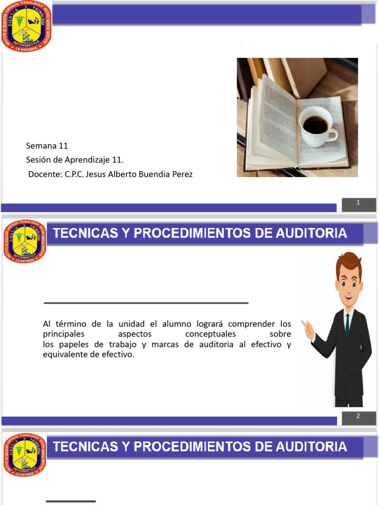Sesión 11 Tecnica y Proced de Auditor Ok | PDF | Auditoría | Contabilidad