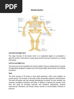 Complete List of 206 Human Bones | PDF | Vertebra | Skeletal System