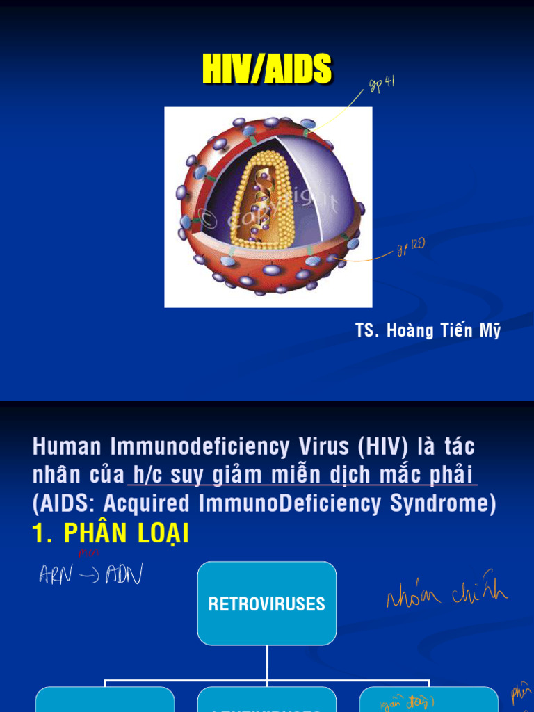 Hiv-Aids | PDF