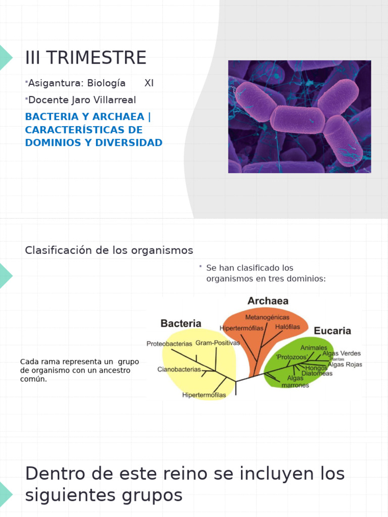 Archeabacterias | PDF | Archaea | Las bacterias