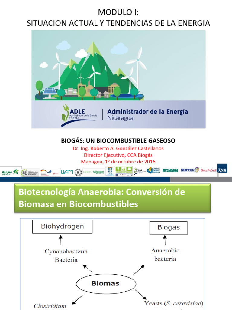 Biogás: Energía Renovable y Sostenible | PDF | Biogás | Digestión ...