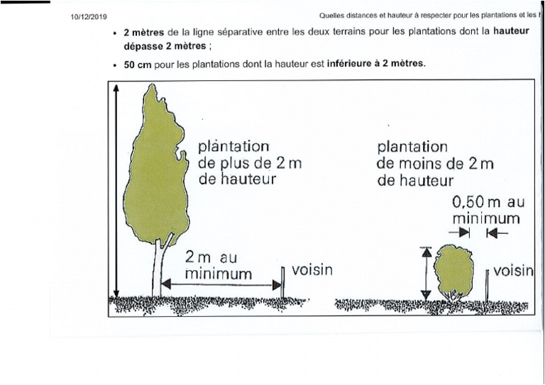 Plantations Limite De Propriété