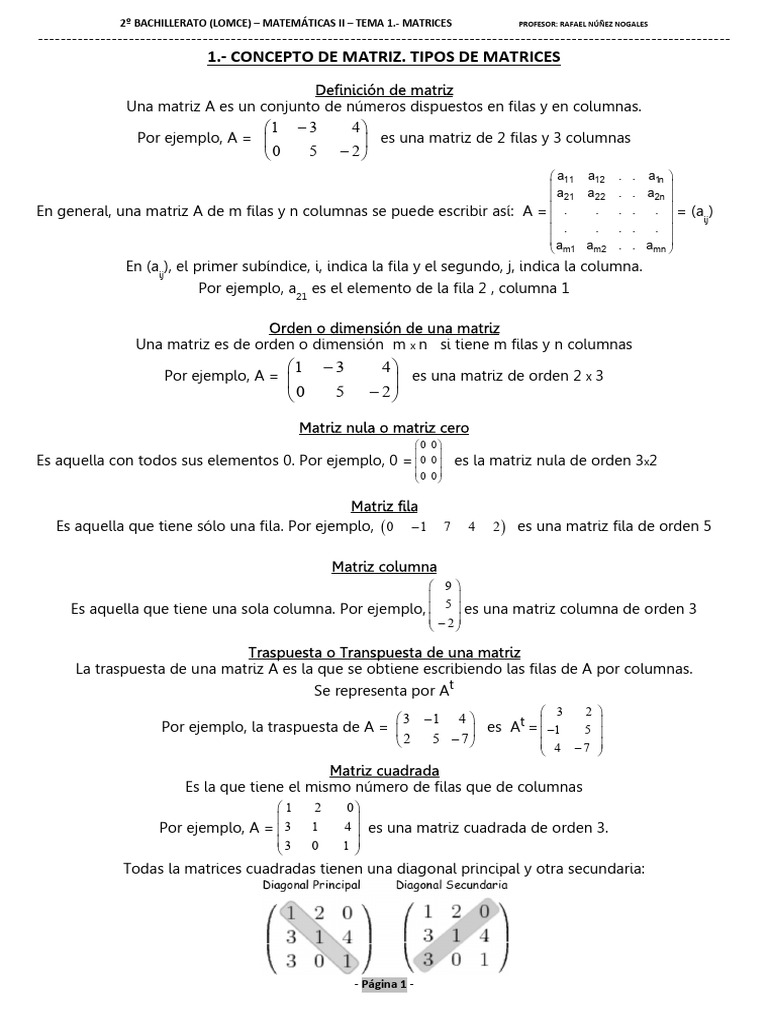 Conceptos Básicos de Matrices en Matemáticas | PDF | Matriz ...