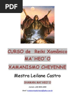 Curso de Reiki Xamânico MA´HEO´O