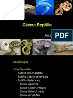 Classe Reptilia