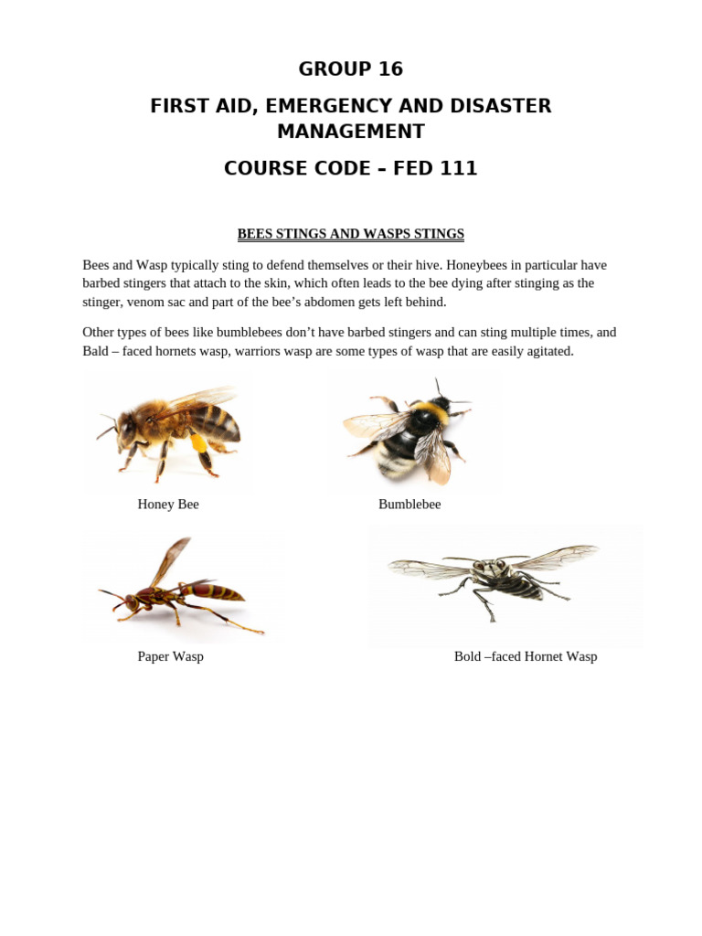 Bee and Wasp Sting First Aid Guide | PDF | Insects