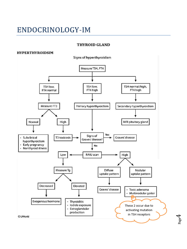 Thyroid Disorders and Treatments Guide | PDF | Hyperthyroidism ...