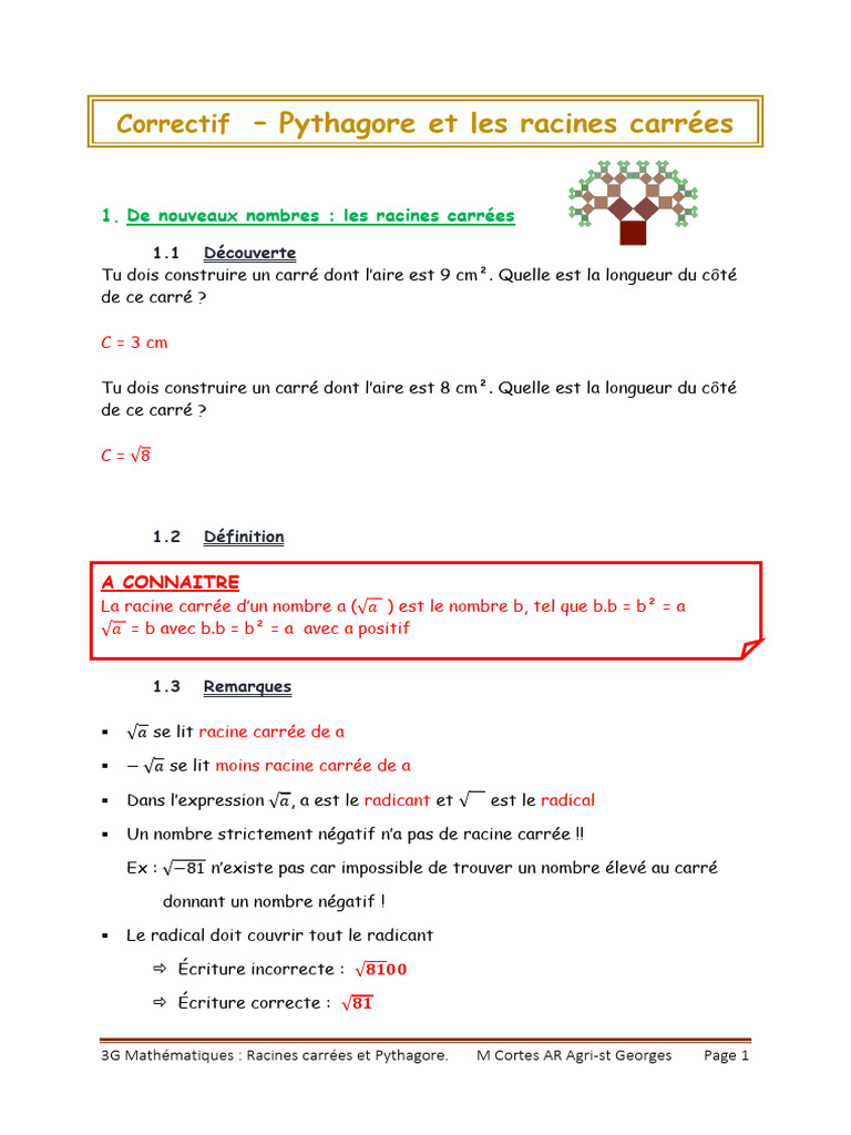 Racines Carrées et Pythagore | PDF | Triangle | Mathématiques