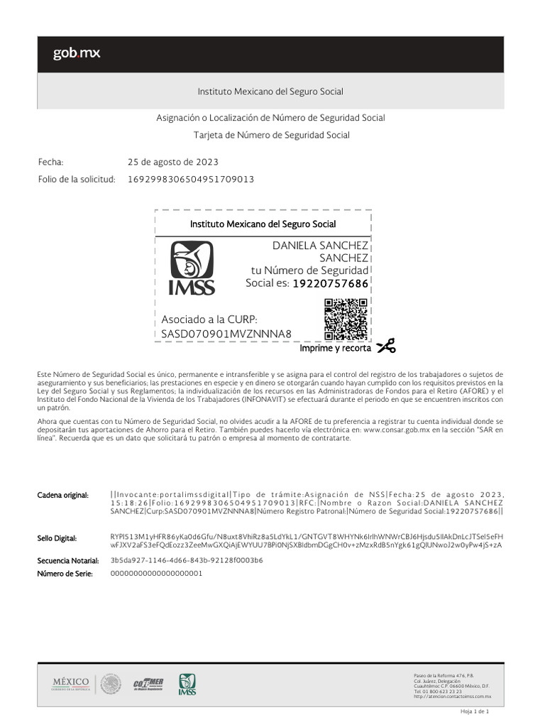 Guía para Obtener tu NSS en el IMSS | PDF