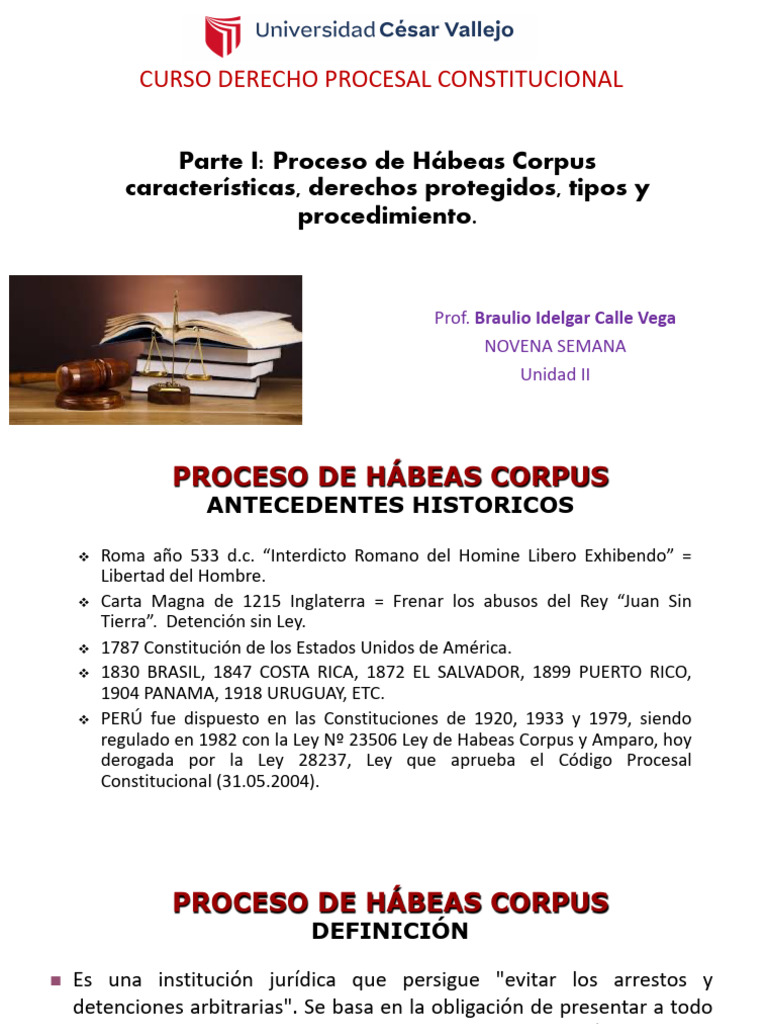 Proceso de Hábeas Corpus: Definición y Tipos | PDF | Habeas corpus ...