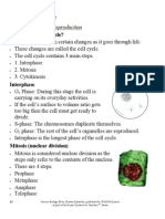 Cell Cycle Notes