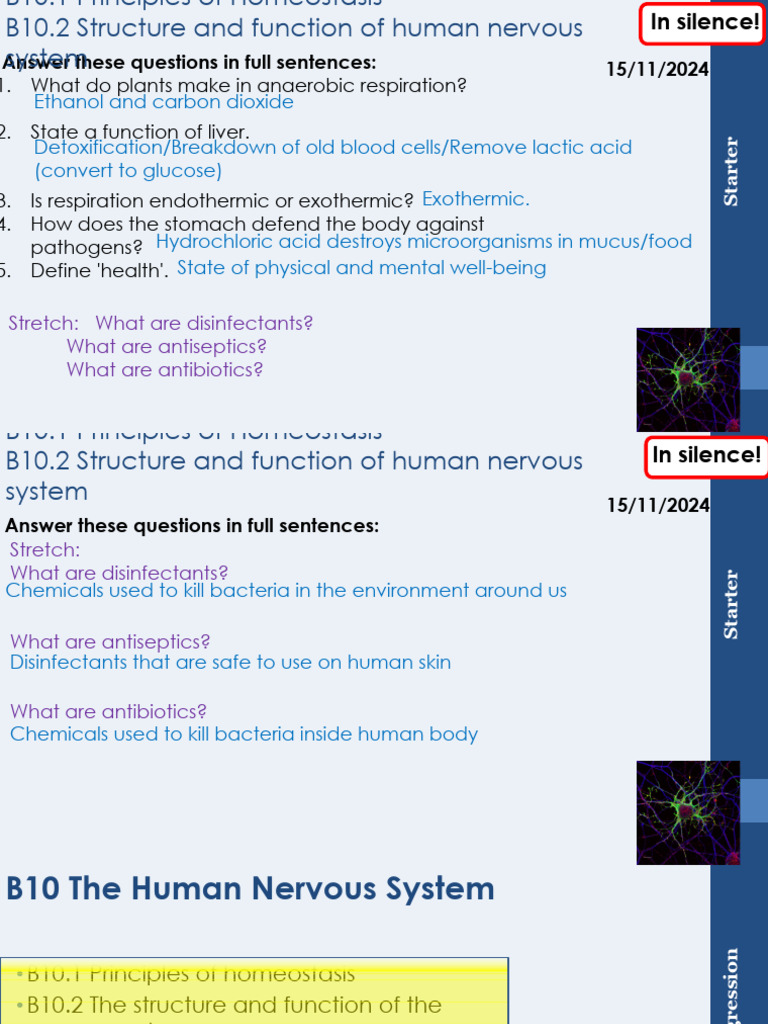 Homeostasis and Nervous System Overview | PDF | Neuron | Homeostasis