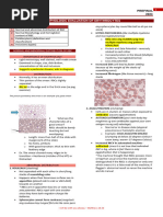 Red Blood Cell Morphology Guide | PDF | Anemia | Red Blood Cell