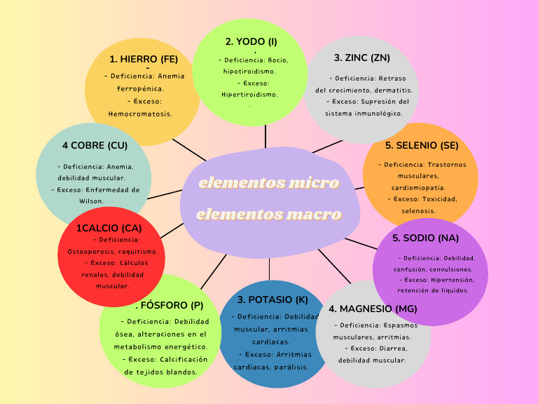 Mapa Micro y Macro Nutrientes | PDF | Especialidades Medicas ...