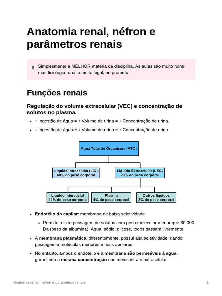 Anatomia e Funções dos Rins e Néfrons | PDF | Rim | Sistema urinário