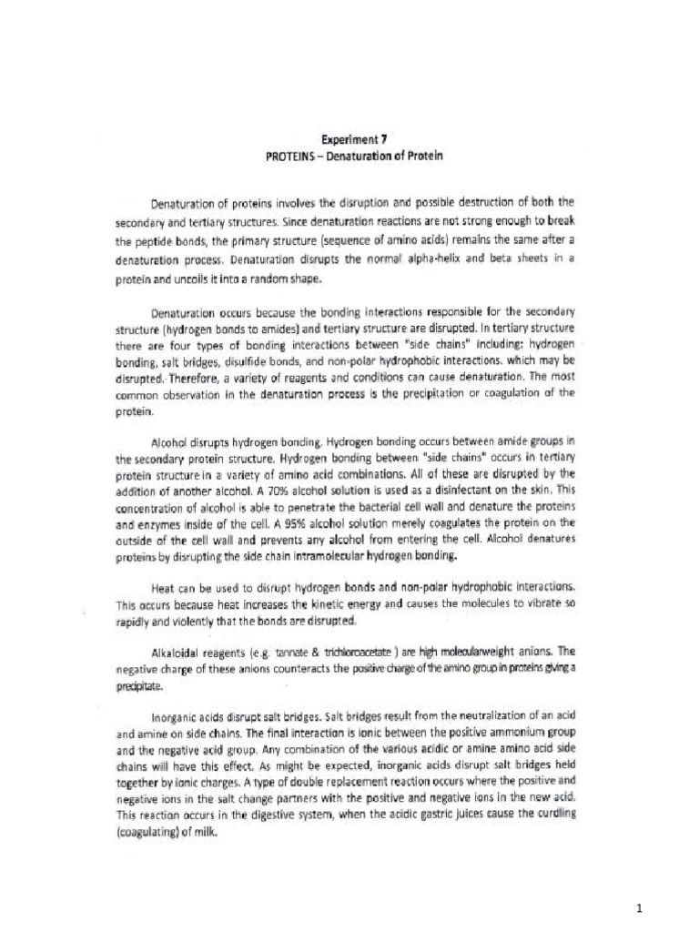 Laboratory 7 Proteins Denaturation of Protein | PDF | Denaturation ...