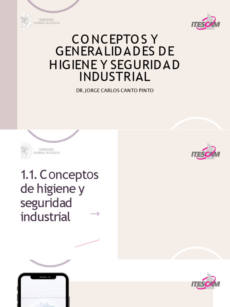 Higiene y Seguridad Industrial Esencial | PDF | Higiene