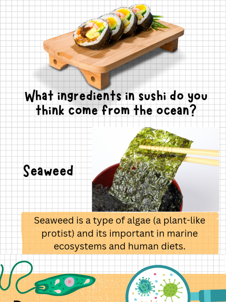 Seaweed and Fungi: Protist Insights | PDF | Fungus | Algae