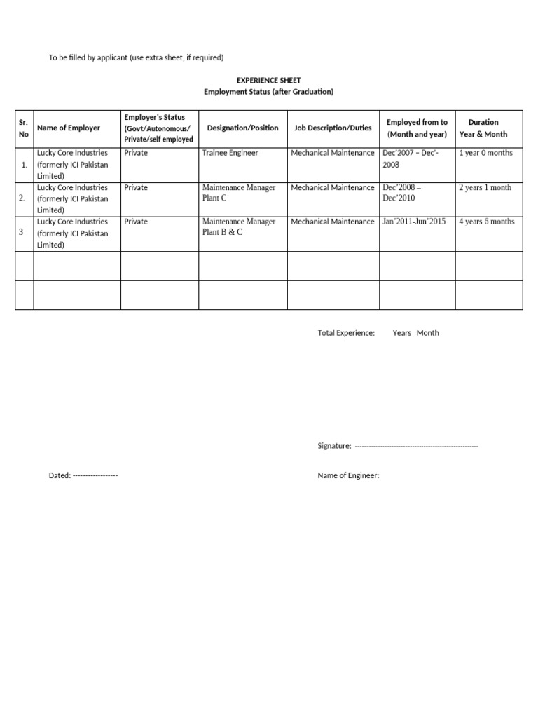 Experience Sheet | PDF | Computers | Technology & Engineering