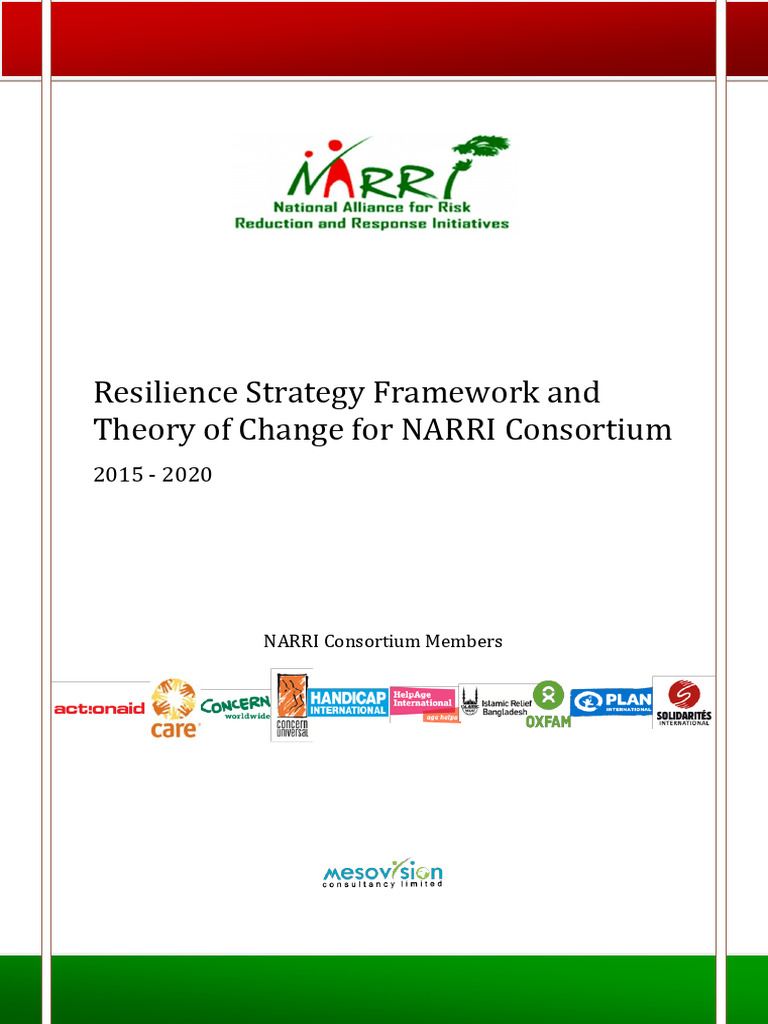 NARRI Resilience Strategy Framework 2015-2020 | PDF | Disaster Risk ...