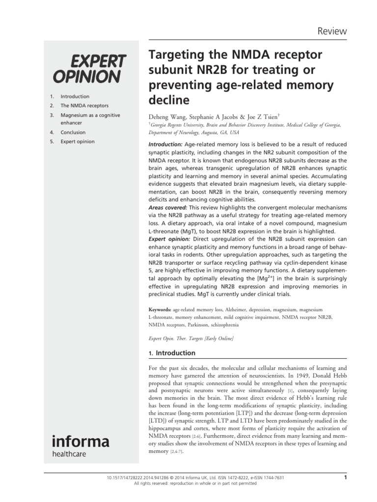 Boosting Memory with Magnesium L-Threonate | PDF | Nmda Receptor | Long ...