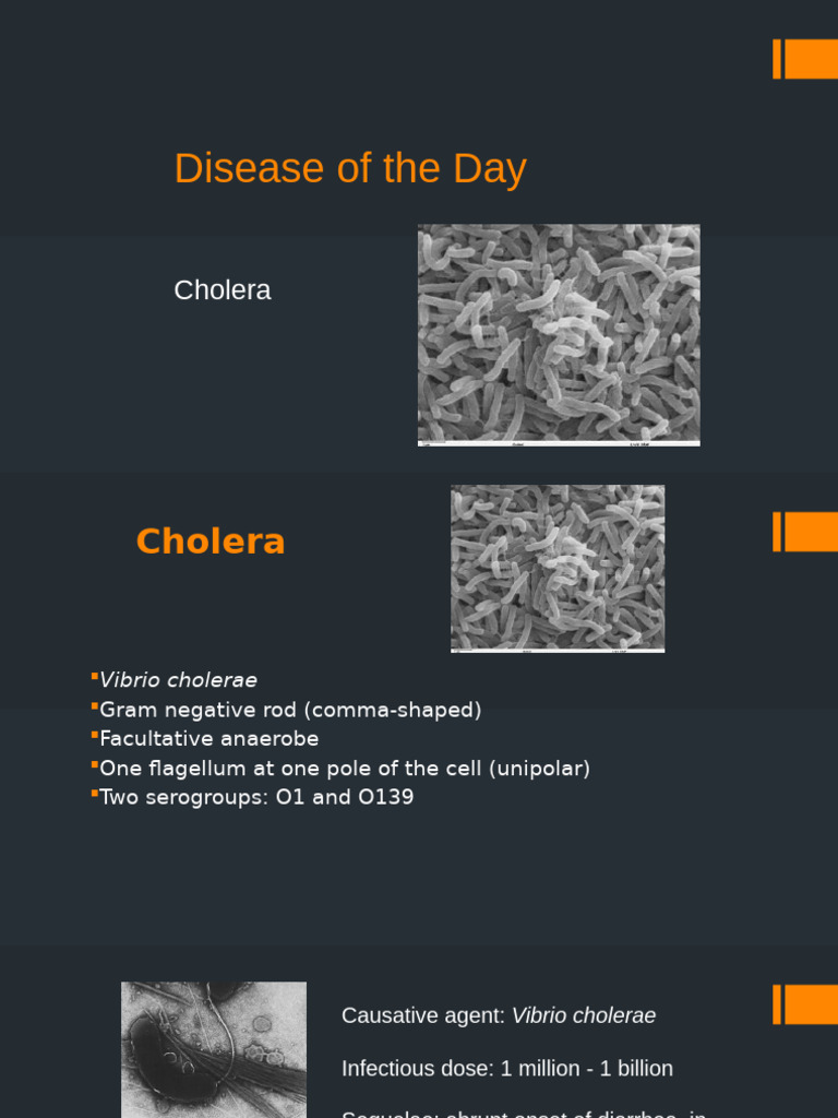 DoD Cholera | PDF | Cholera | Causes Of Death