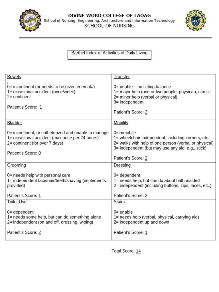 Barthel Index Of Activities Of Daily Living