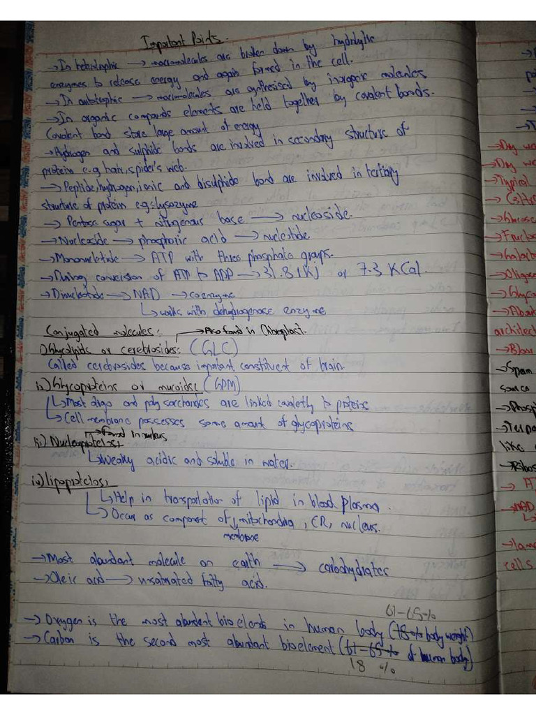 Bio Imp Points | PDF