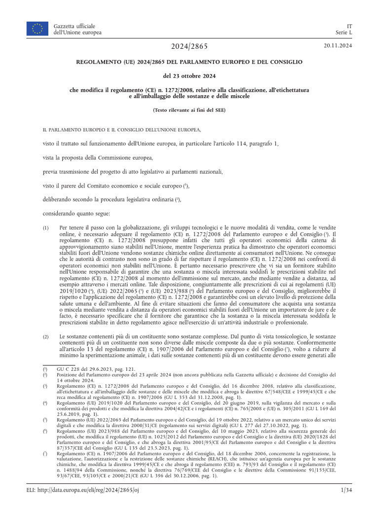 Regolamento 2024 - 2865 IT | PDF