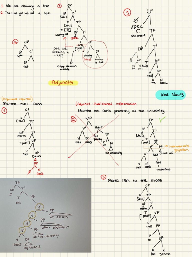 Morpho-Syntax 4 | PDF | Cognitive Science | Linguistic Typology