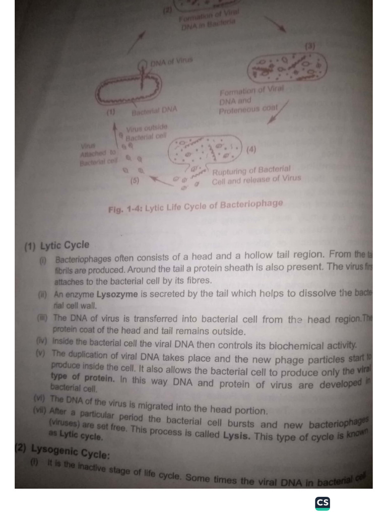 Virus 4th Chapter | PDF