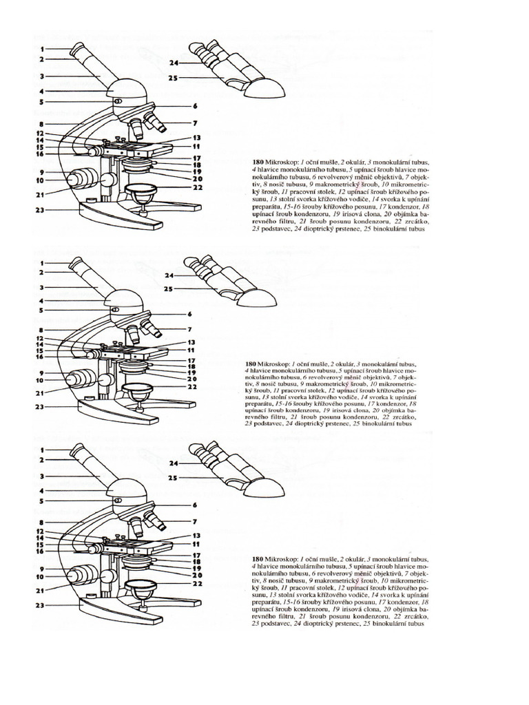 2 Mikroskop - Stavba | PDF