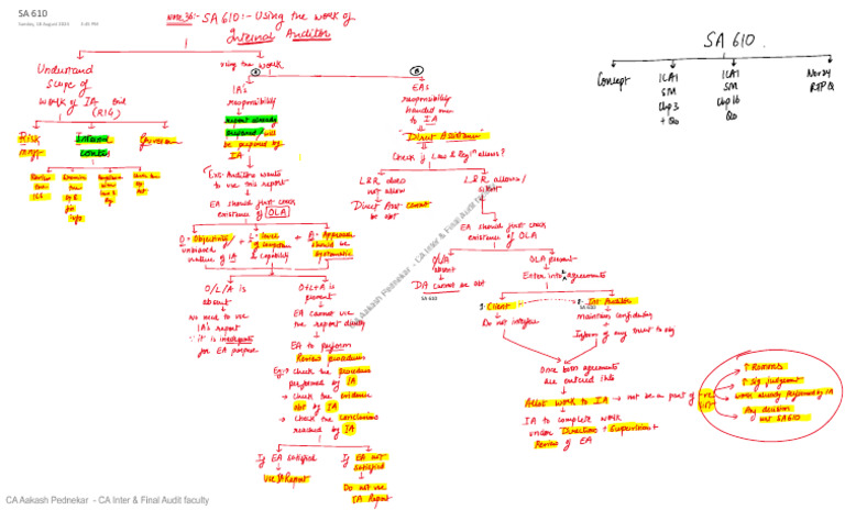 SA 610 Board Notes - CA Aakash Pednekar - CA Final | PDF
