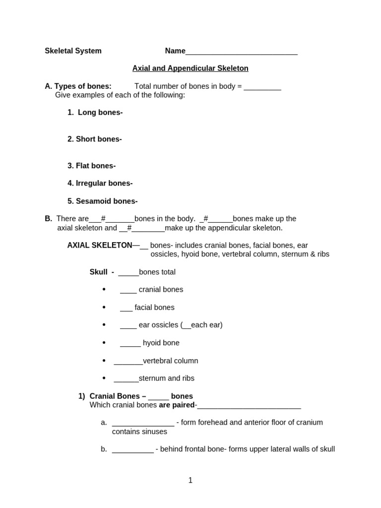 BI 151 Skeletal System Exercise.1 | PDF | Skull | Skeleton
