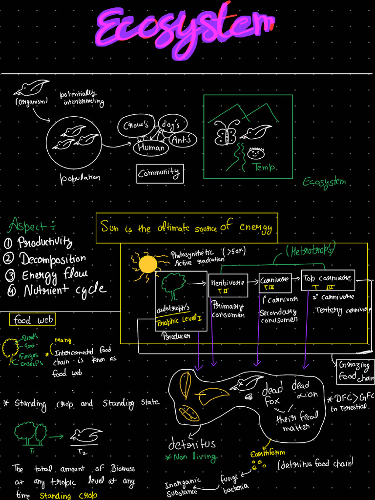 Ecosystem - 230902 - 222802 | PDF