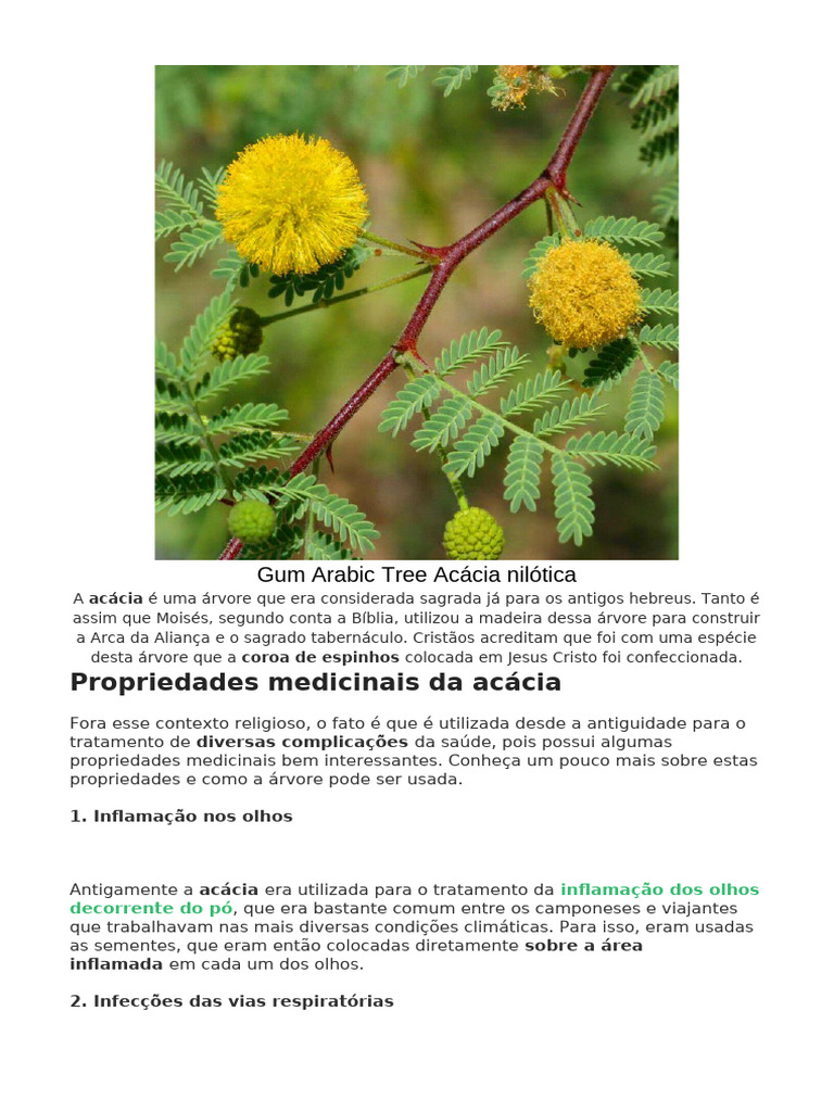 Propriedades Medicinais da Acácia Nilótica | PDF | Doenças e distúrbios ...