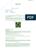 A Modelagem Alface Index