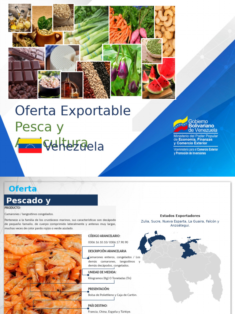 Oferta Exportable de Pescados y Mariscos | PDF | Mariscos | Pulpo