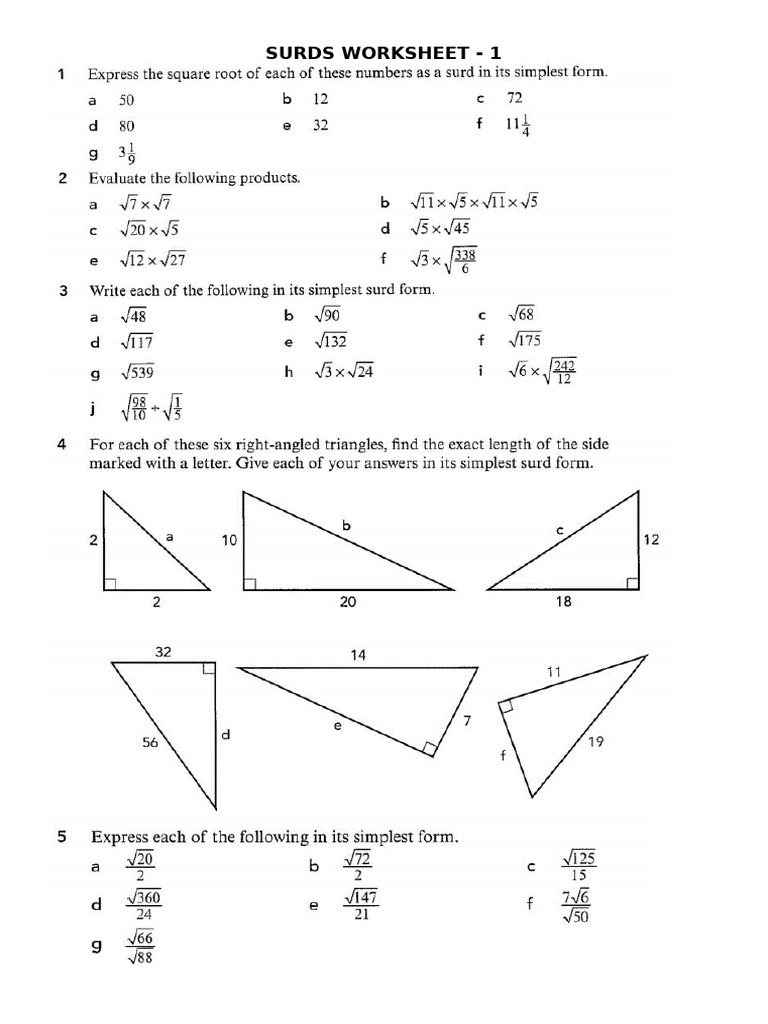 SURDS | PDF
