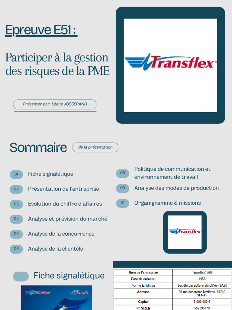 Gestion des risques pour PME Transflex | PDF | Business | Innovation