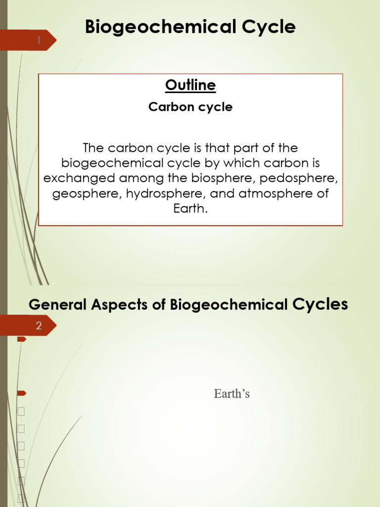 Biogeochemical Cycles | PDF | Carbon Cycle | Carbon