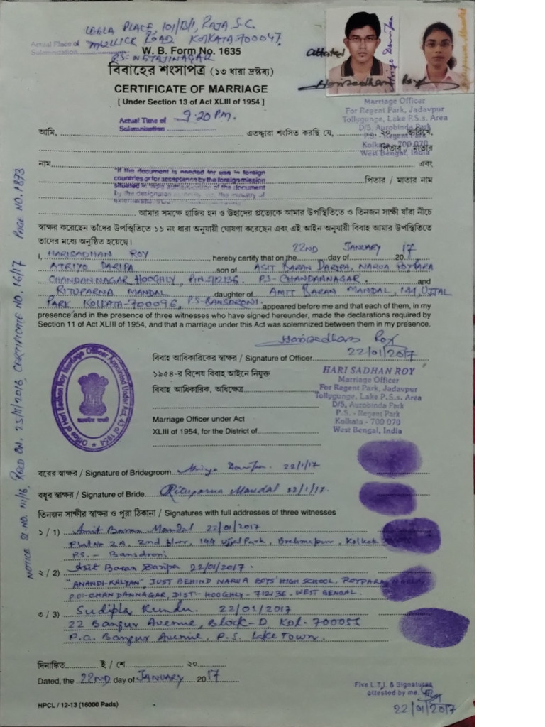 Marriage visual data 8