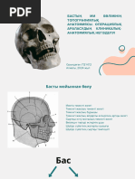 Дөрекі минет