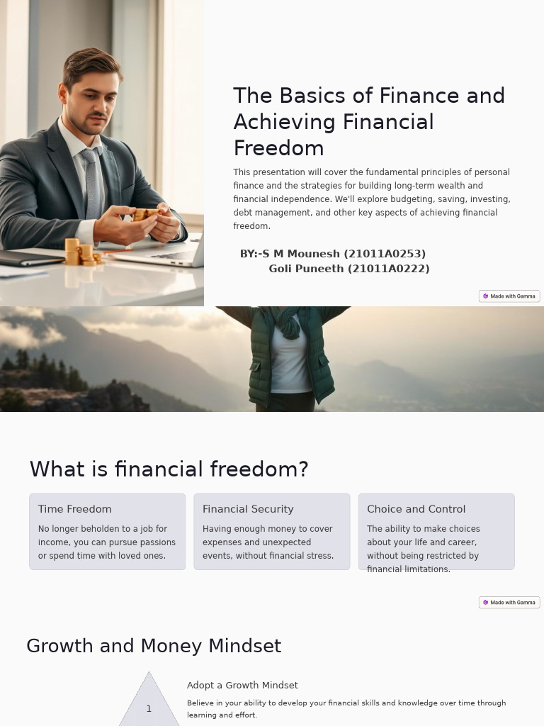 The Basics of Finance and Achieving Financial Freedom PDF Investing