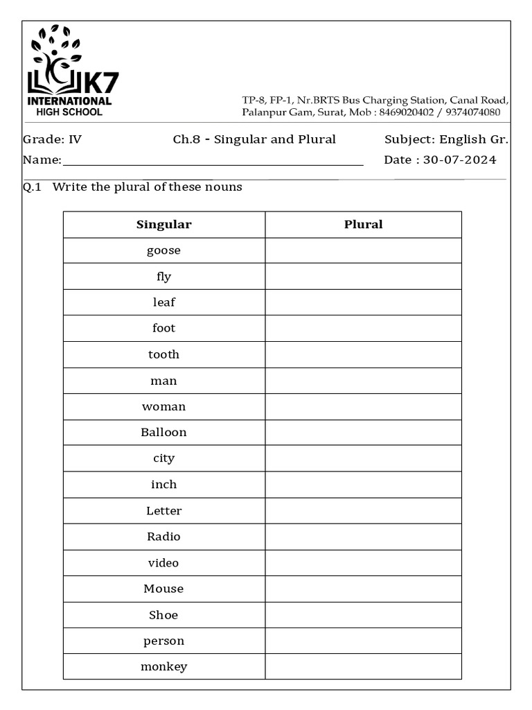 Ch-8 Singular Plural Worksheet | PDF