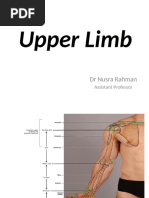 Trunk Range of Motion Overview | PDF | Anatomical Terms Of Motion ...