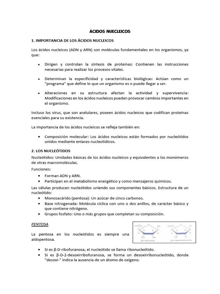Tema 5 - Los Ácidos Nucleicos | PDF | Rna | Adn