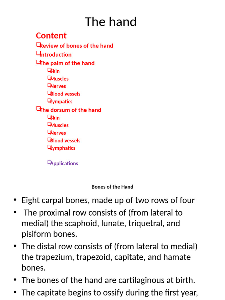 Anatomy and Function of the Hand | PDF | Thumb | Hand