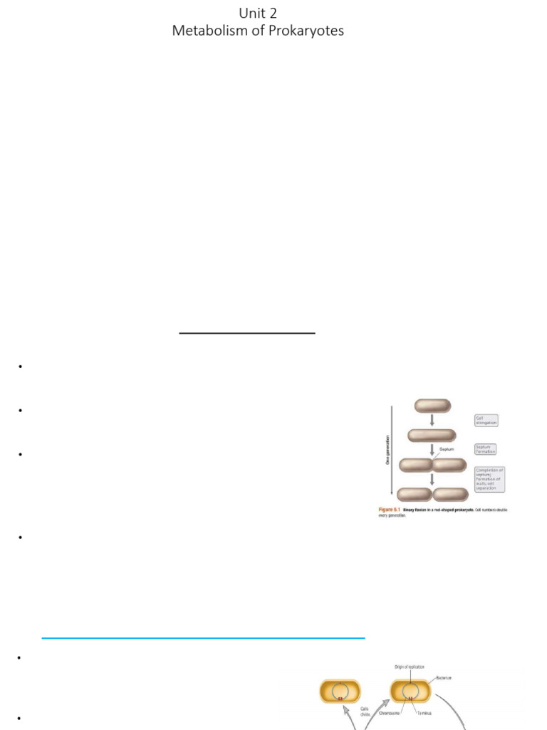Unit 2 Pdf Cellular Respiration Diet Nutrition