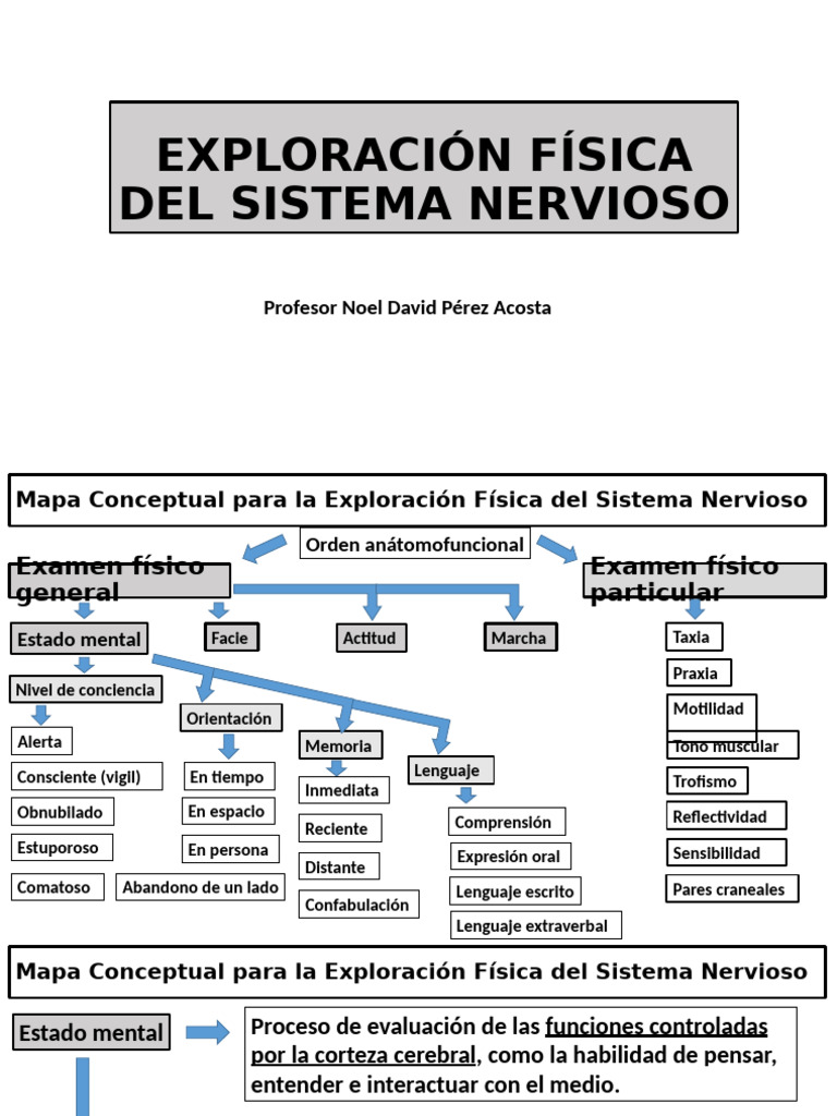 Evaluación del Estado de Conciencia | PDF | Conciencia | Coma